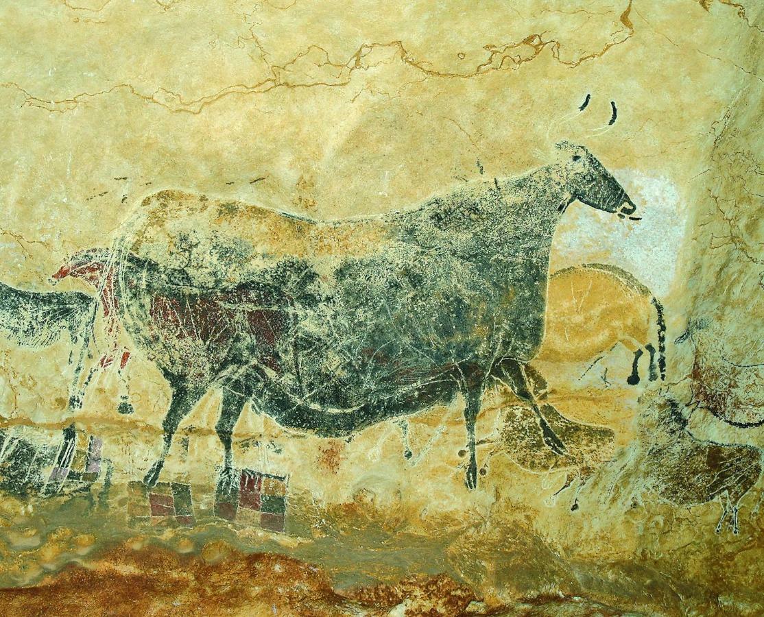 Les Toits De Lascaux Montignac-Lascaux Εξωτερικό φωτογραφία